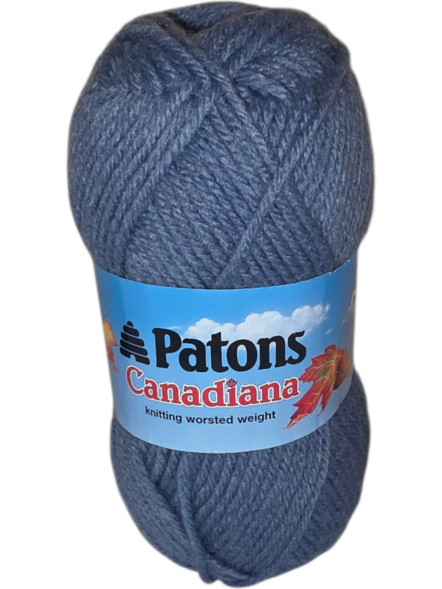 Patons Canadiana worsted weight yarn in soft blue, ideal for knitting and crafting projects.